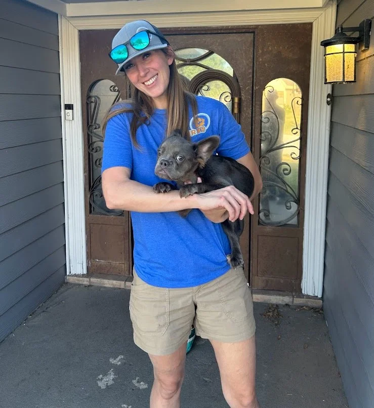 Board and train dog program - immersive training with private owner lessons in Corinth TX