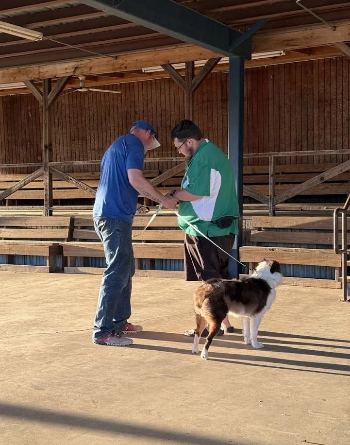 Private dog training in Corinth Texas - professional trainer guiding owner during a personalized dog obedience session.