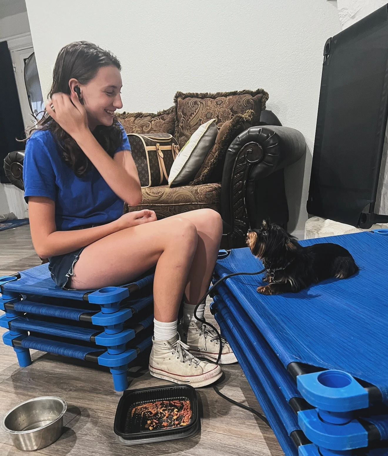 Puppy training in Corinth, Dallas, Plano, Denton, Texas - professional trainer teaching a puppy obedience and socialization skills.